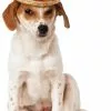 Multicolor Pet Sombrero -FableFits Shop R888594 full 1